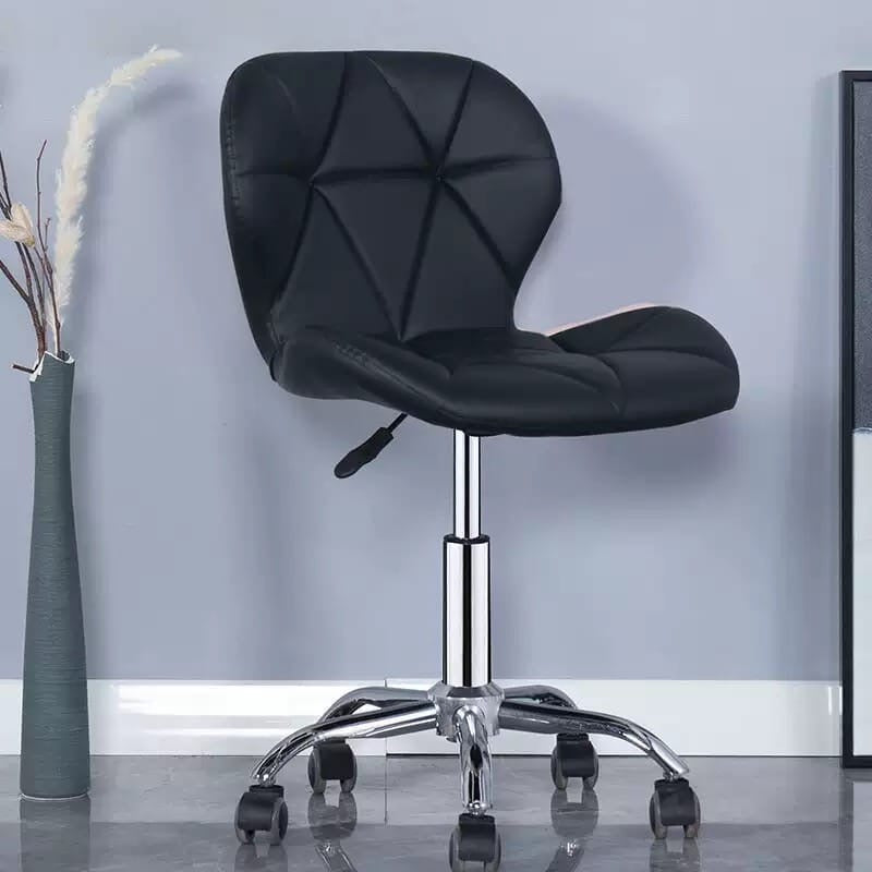 Beauty Salon Chair