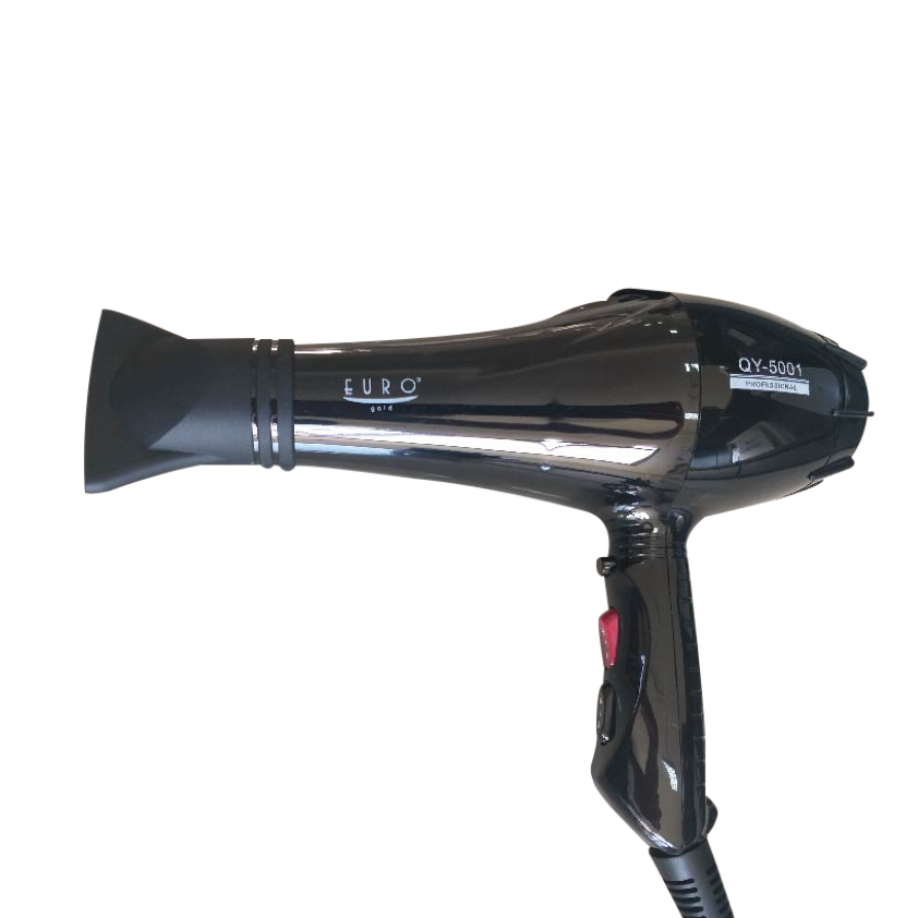 Hair dryer euro gold