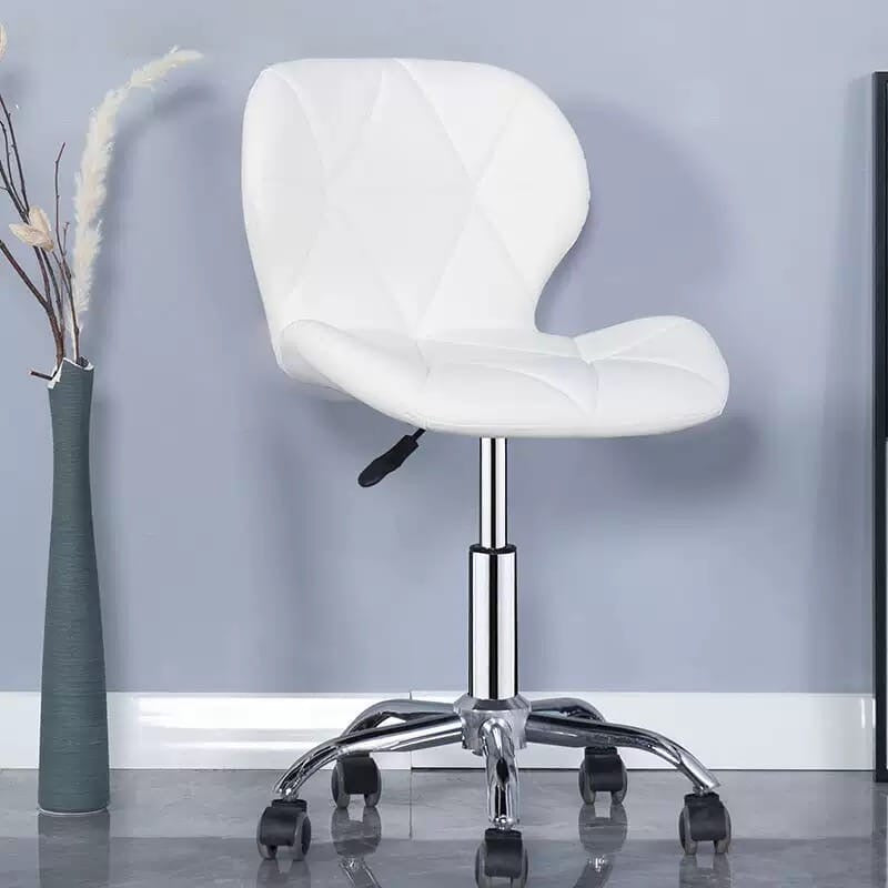 Beauty Salon Chair