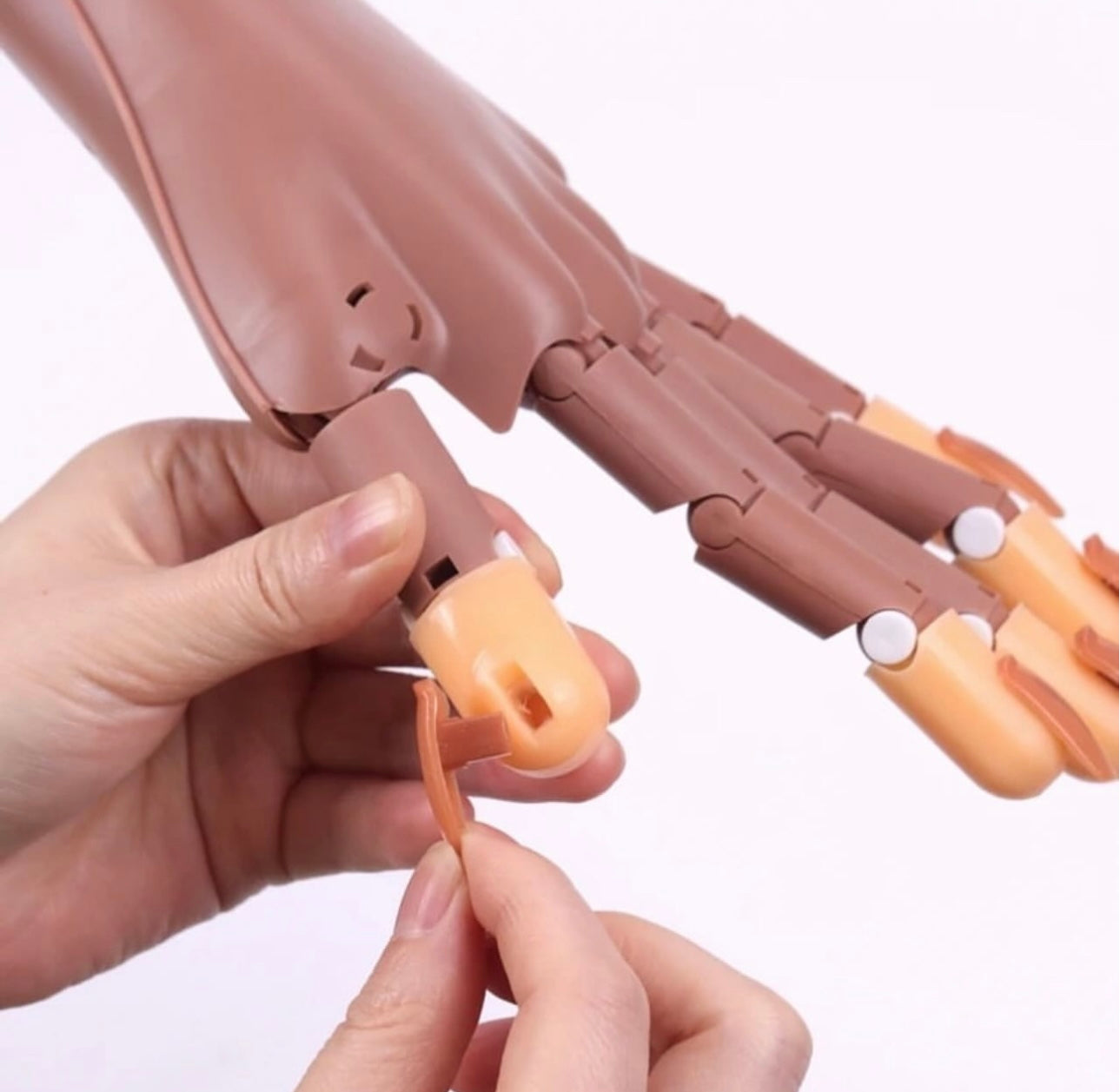 Hand training model