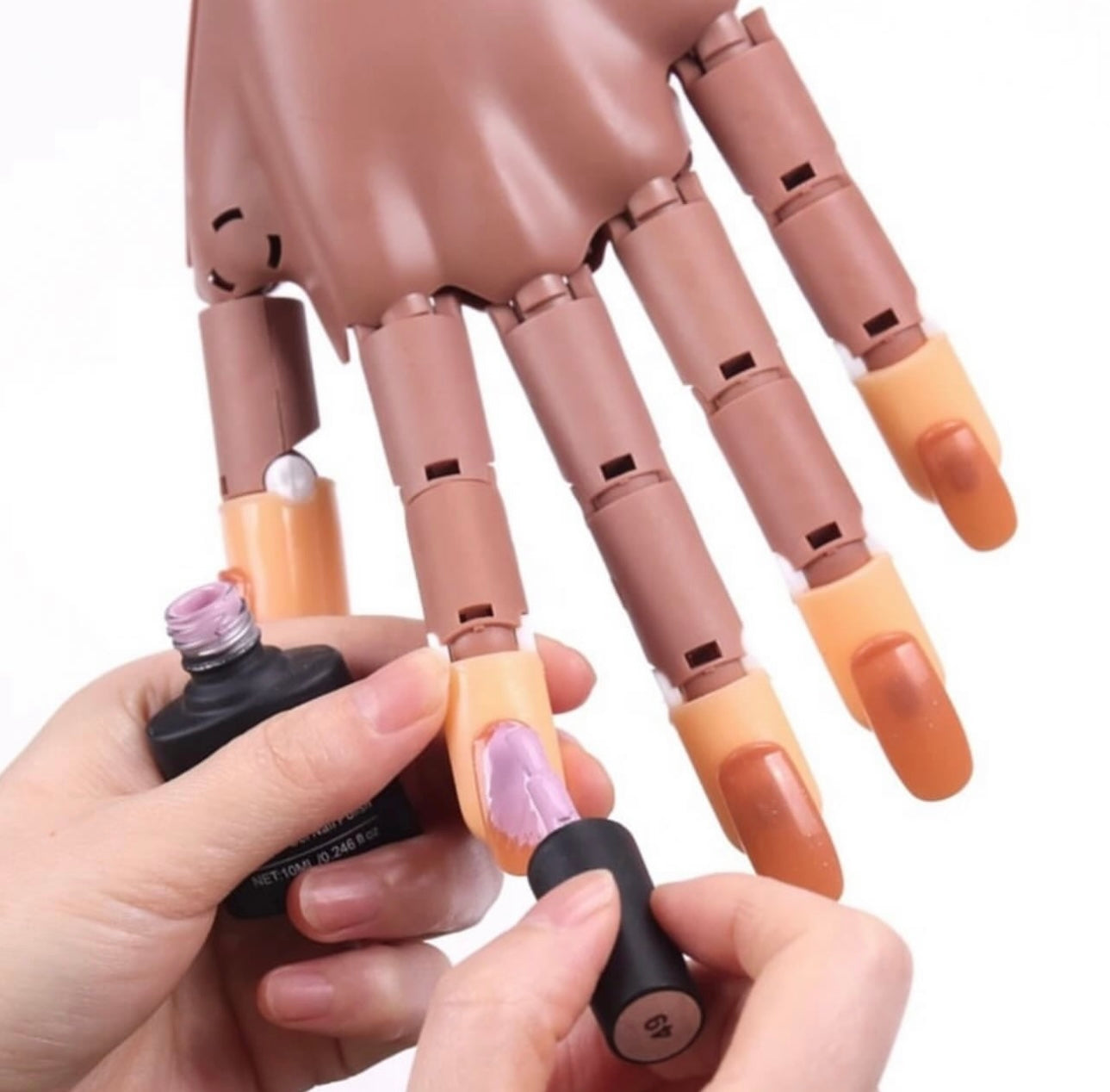 Hand training model